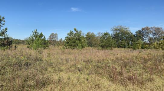 000 US Hwy 19 N, Americus, Georgia 31719, USA