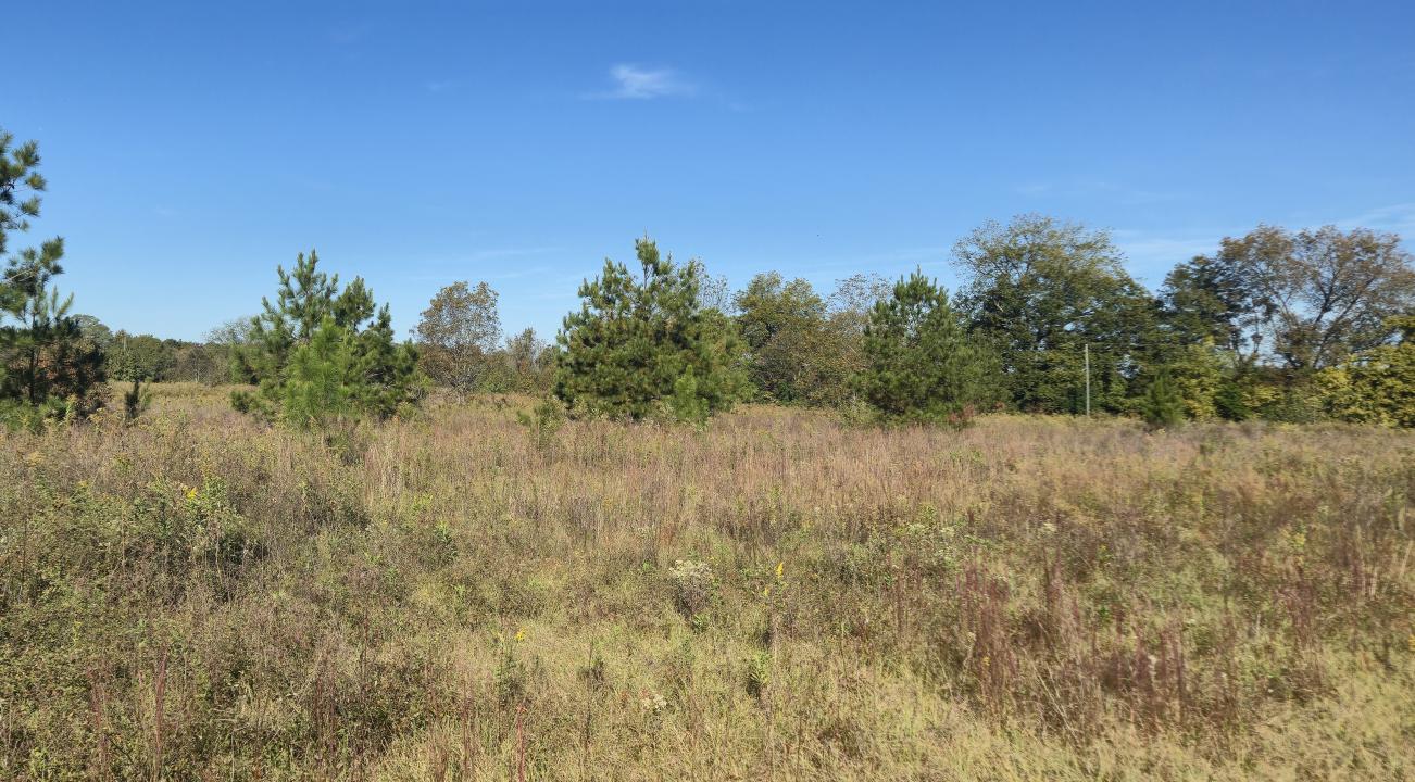 000 US Hwy 19 N, Americus, Georgia 31719, Amerika Birleşik Devletleri