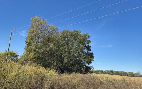 000 US Hwy 19 N, Americus, Georgia 31719, Amerika Birleşik Devletleri