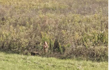 000 US Hwy 19 N, Americus, Georgia 31719, Amerika Birleşik Devletleri