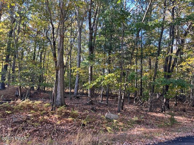 Lot# 332  Racoon Road, Dingmans Ferry, 宾夕法尼亚州 18328, 美国