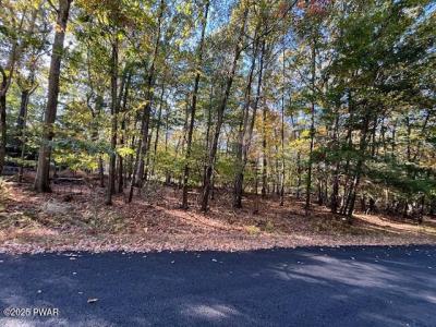 Lot# 332  Racoon Road, Dingmans Ferry, 宾夕法尼亚州 18328, 美国