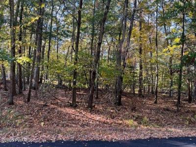 Lot# 332  Racoon Road, Dingmans Ferry, 宾夕法尼亚州 18328, 美国