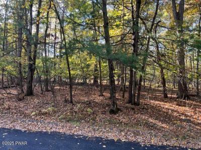 Lot# 332  Racoon Road, Dingmans Ferry, 宾夕法尼亚州 18328, 美国