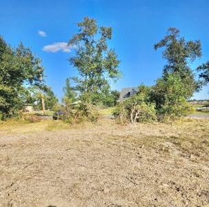 3536 Woodland Dr, Sulphur, Louisiane 70665, États-Unis