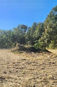 3536 Woodland Dr, Sulphur, Louisiane 70665, États-Unis