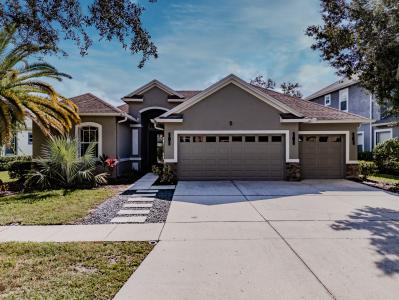 8117 Hampton Glen Dr, Tampa, Florida 33647, USA