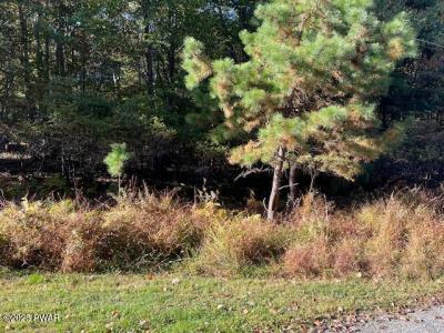 Lot#  250 Squirrel Road, Dingmans Ferry, Pennsylvanie 18328, États-Unis