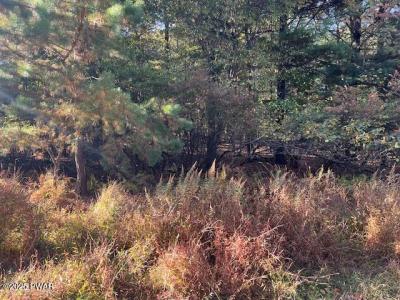 Lot#  250 Squirrel Road, Dingmans Ferry, 펜실베니아 18328, 미국