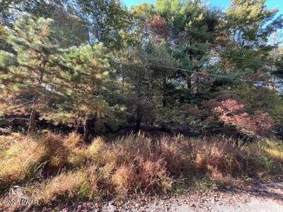 Lot#  250 Squirrel Road, Dingmans Ferry, 펜실베니아 18328, 미국