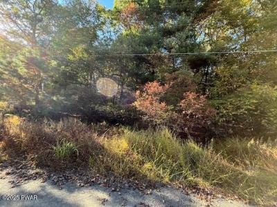 Lot#  250 Squirrel Road, Dingmans Ferry, 펜실베니아 18328, 미국