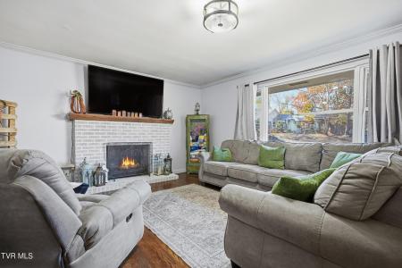 432 Dogwood Street, Mount Carmel, 田纳西州 37645, 美国