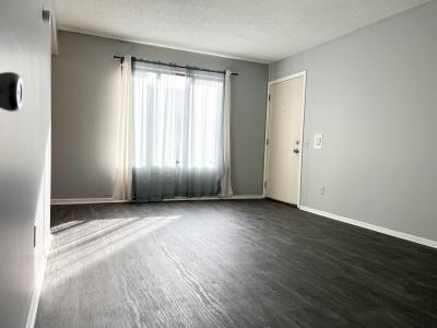 1305 Springfield, Midland, 密歇根州 48642, 美国