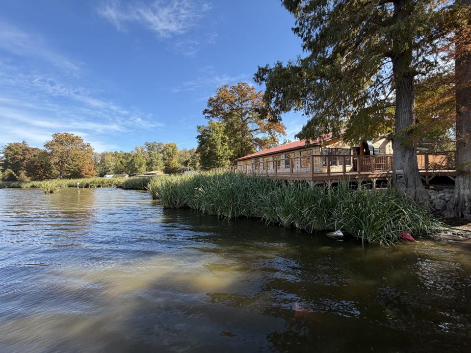 E. Lakeview Dr, Samburg, Tennessee 38232, Stati Uniti