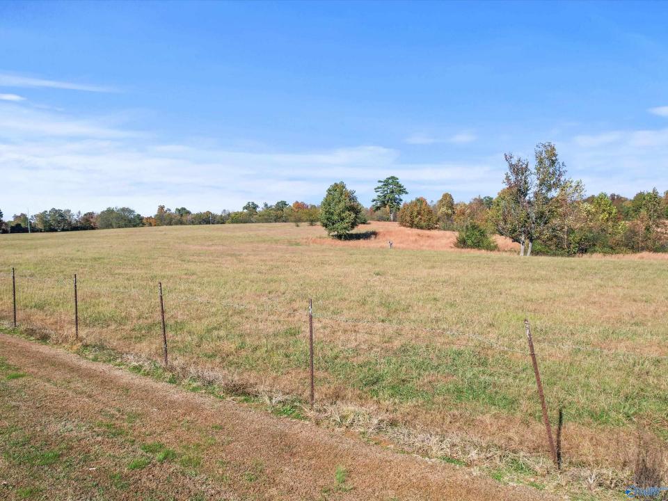 99+/- Acres Hobbs Loop Road, Ardmore, Alabama 35739, Estados Unidos