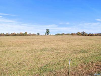99+/- Acres Hobbs Loop Road, Ardmore, Alabama 35739, Estados Unidos