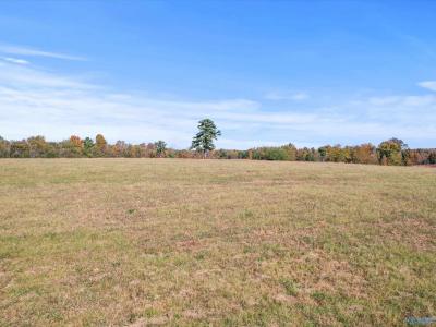 99+/- Acres Hobbs Loop Road, Ardmore, Alabama 35739, Estados Unidos