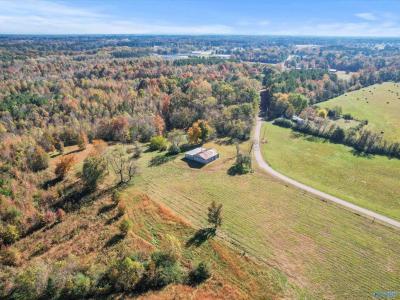 99+/- Acres Hobbs Loop Road, Ardmore, Alabama 35739, Estados Unidos