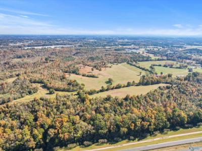 99+/- Acres Hobbs Loop Road, Ardmore, Alabama 35739, Estados Unidos