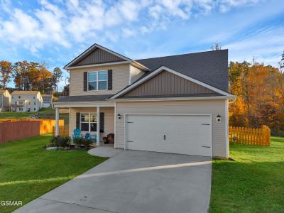 548 Robotic Lane, Knoxville, Tennessee 37920