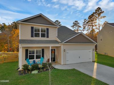 548 Robotic Lane, Knoxville, Tennessee 37920