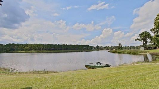 387 Lakeshore, Pelham, Geórgia 31779, Estados Unidos