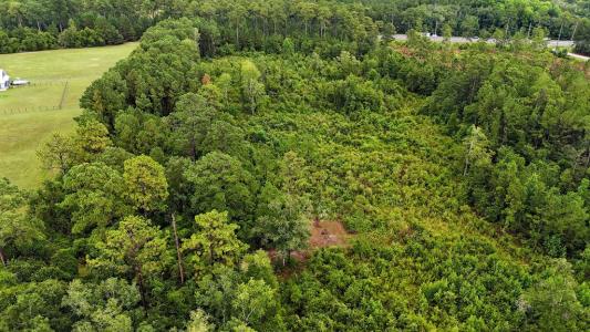 00 U.S Hwy 319 N/Stanford Rd., Thomasville, Geórgia 31757, Estados Unidos