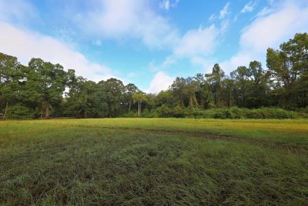 23481 N US Hwy 19, Ochlocknee, Geórgia 31773, Estados Unidos