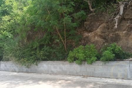 Grand Anse Estate - Lot No. 40, Grand Anse, St.George West Indies, גרנדה