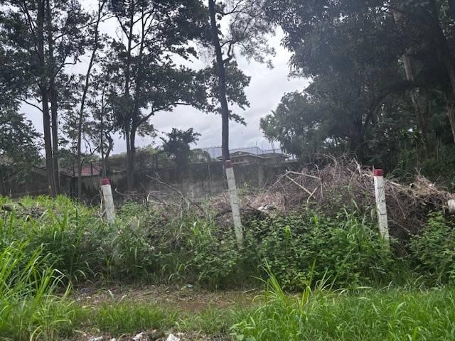 Heredia Heredia, 埃雷迪亚 00001, 哥斯达黎加