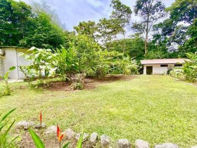 Fortuna San Carlos, 阿拉胡埃拉 21007, 哥斯达黎加