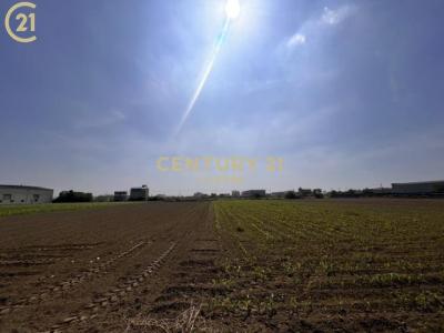 港子尾, Anding Dist., Tainan 745, Taïwan