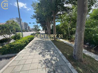 岩灣段, Taitung, Taitung County 950, Taïwan