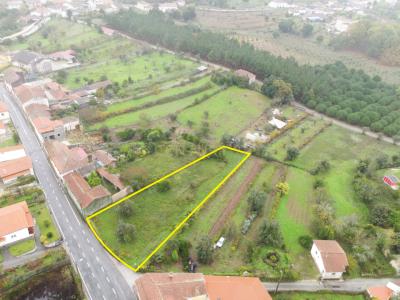 Vila Nova De Poiares, Coimbra 3351-001, Portugal