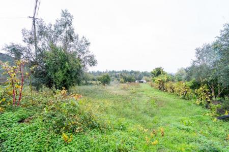 Vila Nova De Poiares, Coimbra 3351-001, Portugal