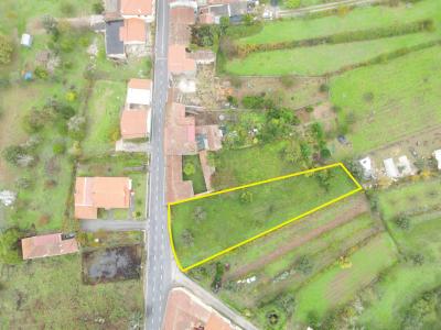 Vila Nova De Poiares, Coimbra 3351-001, Portugal