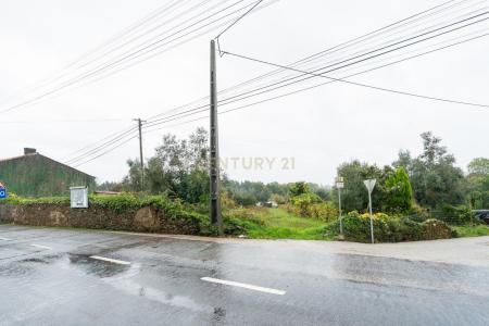 Vila Nova De Poiares, Coimbra 3351-001, Portugal