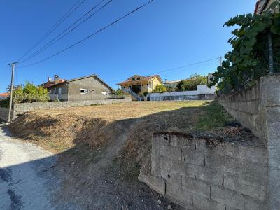 Vila Flor, Bragança 5360-150, Portugal