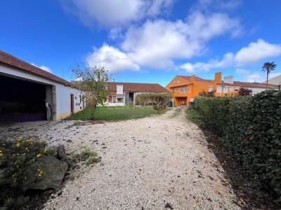 Alcobaça, לייריה 2460-492, פורטוגל 