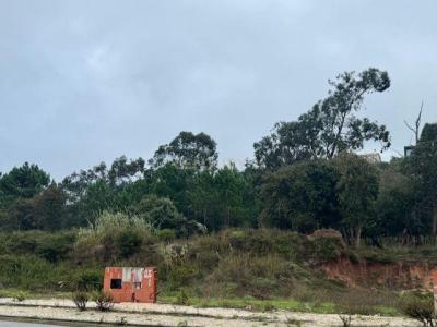 Caldas Da Rainha, Leiria 2500-303, Portugal