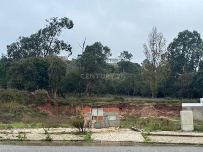 Caldas Da Rainha, Leiria 2500-303, Portugal