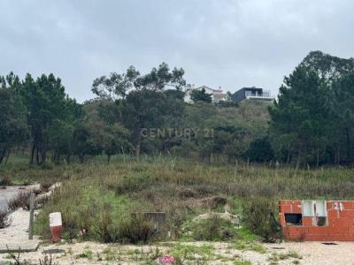 Caldas Da Rainha, 萊裡亞 2500-303, 葡萄牙