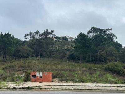 Caldas Da Rainha, 萊裡亞 2500-303, 葡萄牙