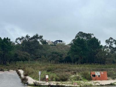 Caldas Da Rainha, 萊裡亞 2500-303, 葡萄牙