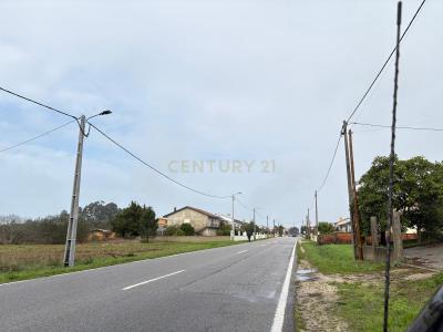 Vagos, Aveiro 3840-000, Portugal