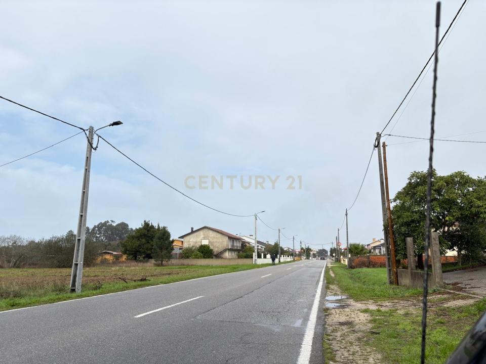 Vagos, Aveiro 3840-000, Portugal