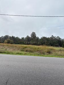 Vagos, Aveiro 3840-000, Portugal