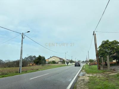 Vagos, Aveiro 3840-000, Portugal