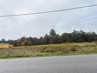 Vagos, Aveiro 3840-000, Portugal