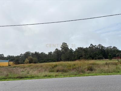 Vagos, Aveiro 3840-000, Portugal